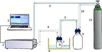 Detection of volatile organic compounds in headspace of Klebsiella pneumoniae and Klebsiella oxytoca colonies